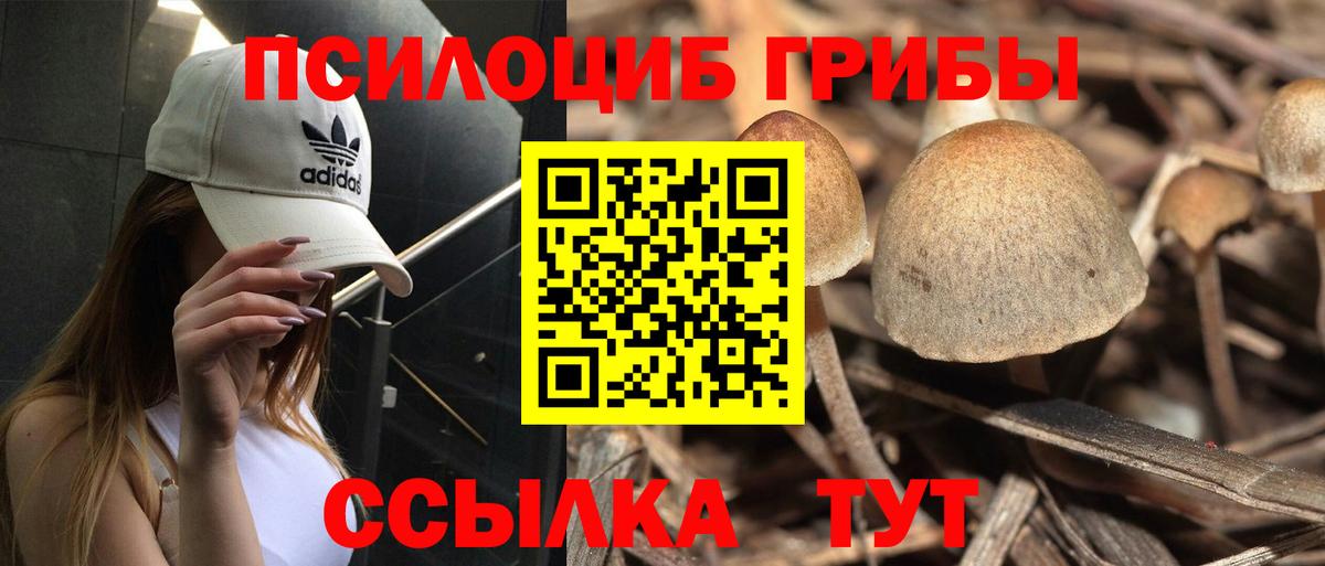 Псилоцибиновые грибы мухоморы  сколько стоит  Галлюциногенные грибы прущие грибы  Шебекино  Вход с VPN 